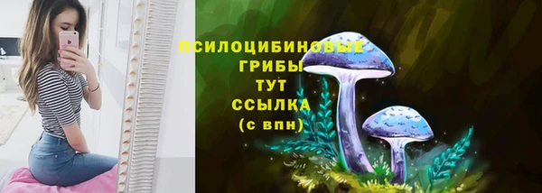 a pvp Михайлов