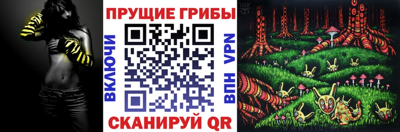 blacksprut зеркало  Кукмор  это официальный сайт  Галлюциногенные грибы Magic Shrooms 